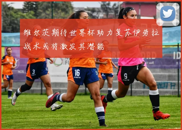维尔茨期待世界杯助力复苏伊劳拉战术或将激发其潜能