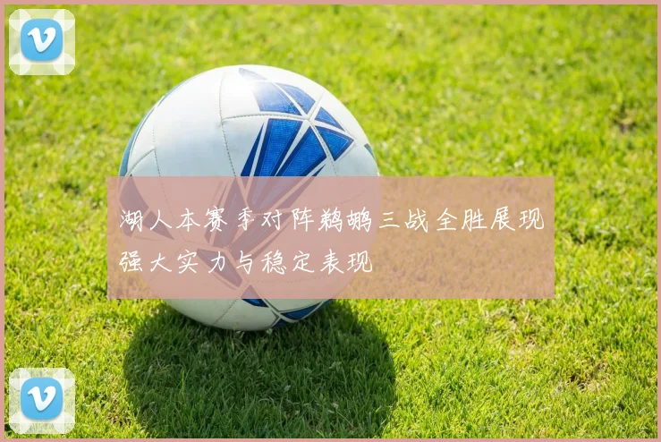湖人本赛季对阵鹈鹕三战全胜展现强大实力与稳定表现